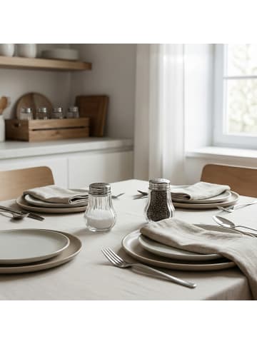 relaxdays 10x Salz- und Pfefferstreuer in Transparent/ Silber - 50 ml