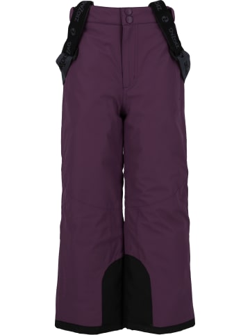 Zigzag Skihose Provo in 4149 Purple Pennant