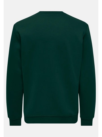 ONLY & SONS Sweatshirt Connor in Hellgrün / grün