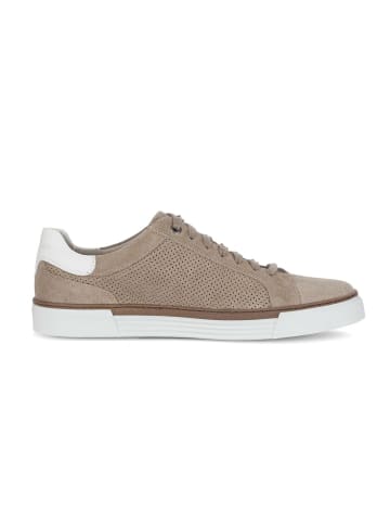 Gabor Sneaker low in beige
