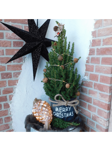 NatureNest Weihnachtsbaum mit Beleuchtung Pineconelight in Xmas Bag blau 
