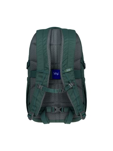 BAAGL Rucksack Dash Max in Grün - 30x48x21cm