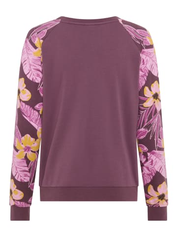 Kangaroos Sweatshirt in beere