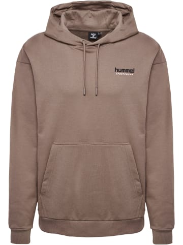 Hummel Hummel Kapuzenpullover Hmllgc Nate Herren in IRON