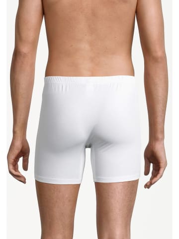 Ammann Long Short / Pant Close to you in Weiß