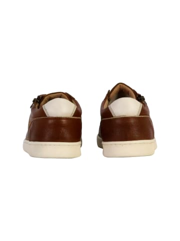 Redskins  Sneakers aus Leder Distrait Braun