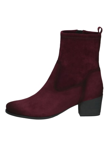 Caprice Stiefelette in Bordeaux