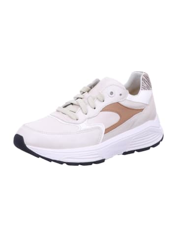Xsensible Sneaker Low in beige