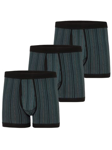 ESGE Boxershorts 3er Pack in Schwarz / Blau gestreift