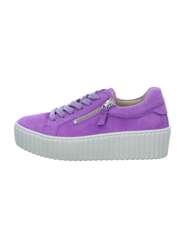 Gabor Plateau Schnürschuhe in Lila