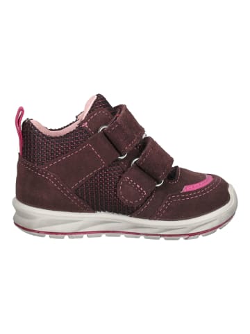 PEPINO Sneaker in Berry