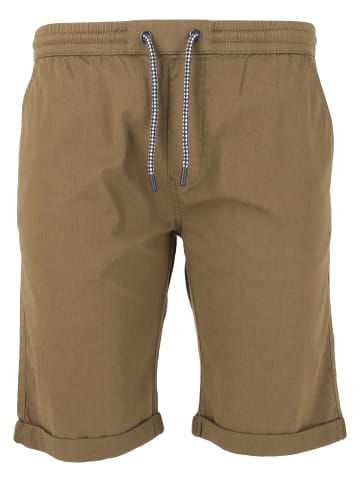 Cruz Shorts Gilchrest in 1138 Kelp