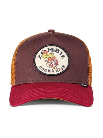 DJINNS Baseball Cap in braun