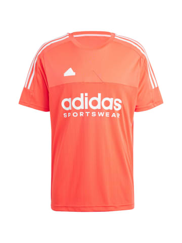 Adidas Sportswear T-Shirt Tiro in bright red-white