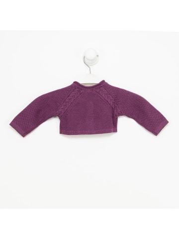 Tutto Piccolo Übergangsjacke in Purple