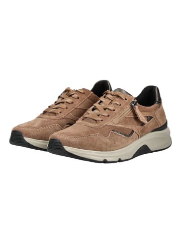 Gabor Sneaker in Nut