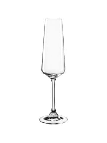 LEONARDO Sektglas 220ml PALADINO 6er-Set