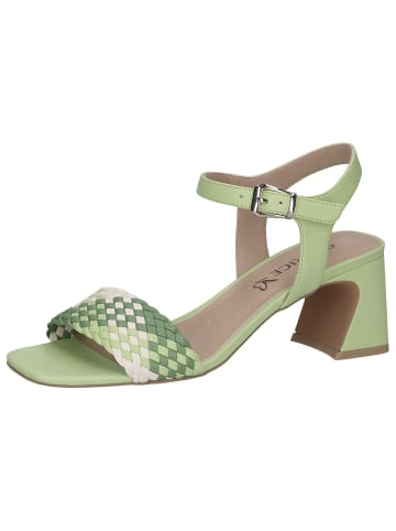 Caprice Sandalette in GREEN COMB