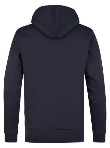 Petrol Industries Baumwoll-Hoodie redwood in Blau