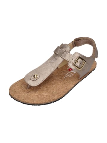KOEL Sandalen ARIANA METALLIC in natur