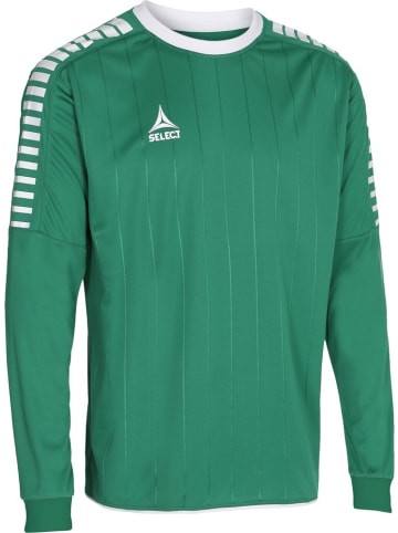 Select Trikot "Argentina Trikot Langarm" in Grün