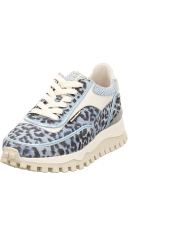 Floris van Bommel Sneaker Low in blau