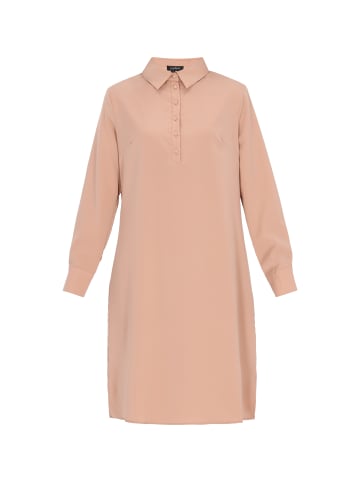 usha BLACK LABEL Women Dress in taupe