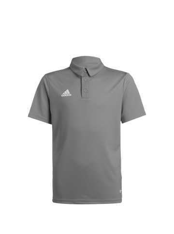 adidas Performance Poloshirt Entrada 22 in grau / weiß