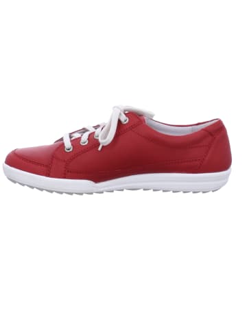 Josef Seibel Sneaker SMU-Dany 63 in hibiscus