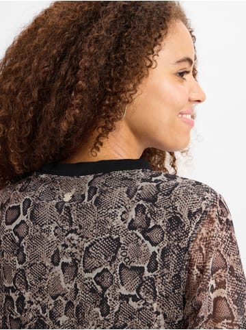 JOOP! Kleid Tindra in schoko schwarz - 0001