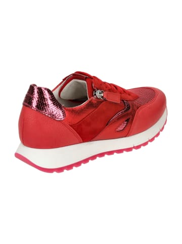 Gabor Sportliche Schnürschuhe in Rot