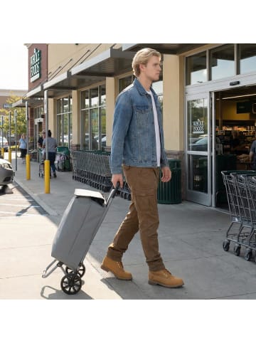 COSTWAY 35L Einkaufstrolley klappbar in Grau