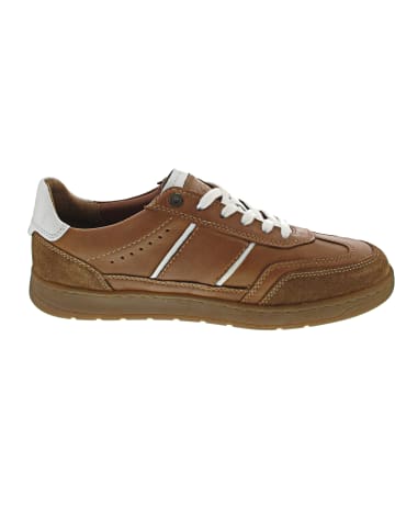 Camel Active Sneaker low Braun