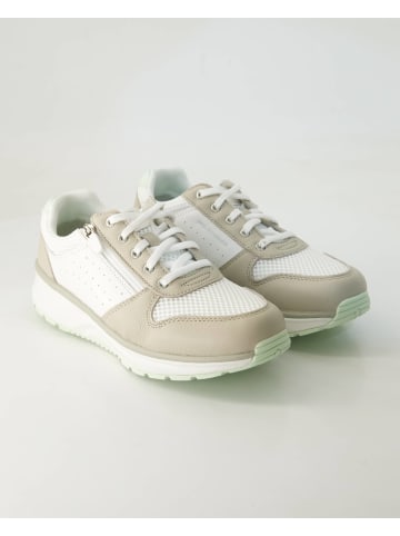 Joya Sneaker low in Beige