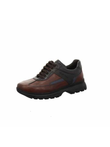 Galizio Torresi Schnürschuhe in dunkelbraun