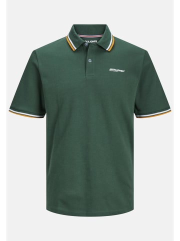 Jack & Jones Poloshirt 'Campa' in dunkelgrün