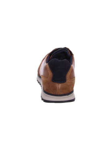 Bugatti Sneaker Cirino in Braun