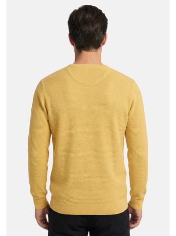 Casa moda Pullover Basic in Gelb