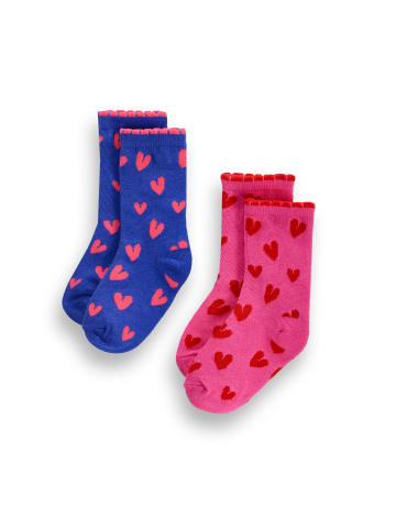 Coccodrillo Socken in bunt
