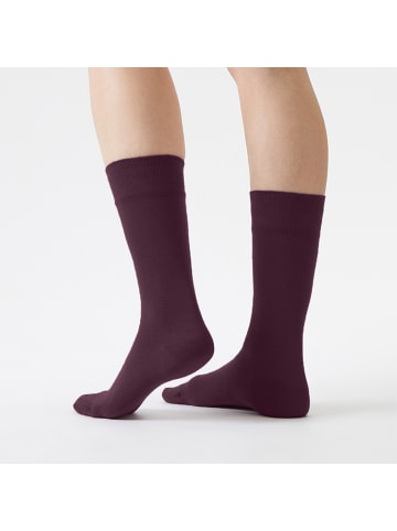 von Jungfeld Classic Socken-Set Signature Innenbund in Zeitlos