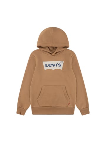 Levi´s Sweatshirt in Braun