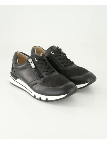 Terry Sneaker low in Schwarz