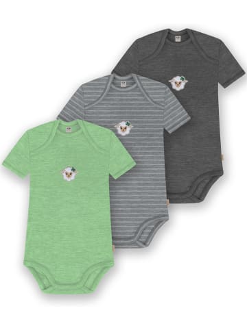 Normani Outdoor Sports 3er Set Baby Merino Body Kurzarm Tauranga in Anthrazit/Grau/Grün
