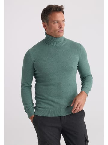 Felix Hardy Pullover in Grün