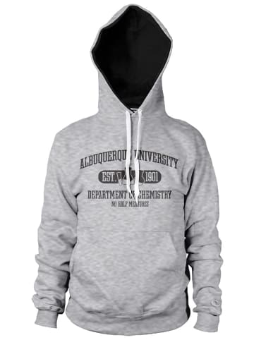 Breaking Bad Hoodie "Albuquerque University Dept Of Chemistry Hoodie" in Grau