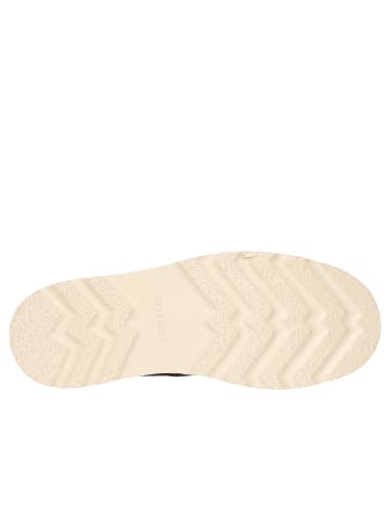 Skechers KADMIEL-GRAND CREEK KADMIEL-GRAND CREEK in chocolate