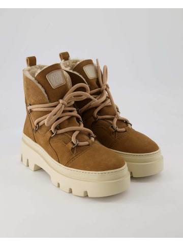 Paul Green Klassische Stiefeletten in Braun