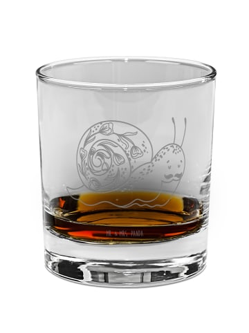 Mr. & Mrs. Panda Tumbler Schnecke Sir ohne Spruch in Transparent