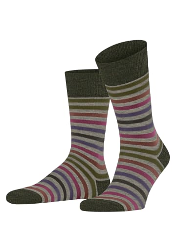 Falke Socken Tinted Stripe in Moon mist