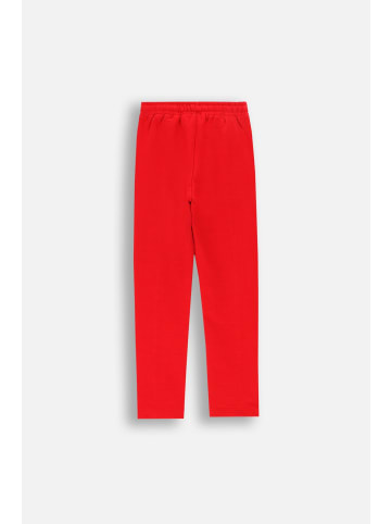 Coccodrillo Jogginghose in rot